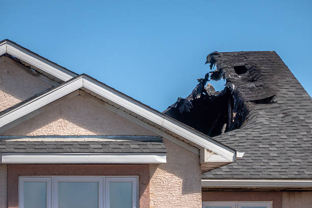 Top rated local Odor Removal specialists in Clarksville, MD
